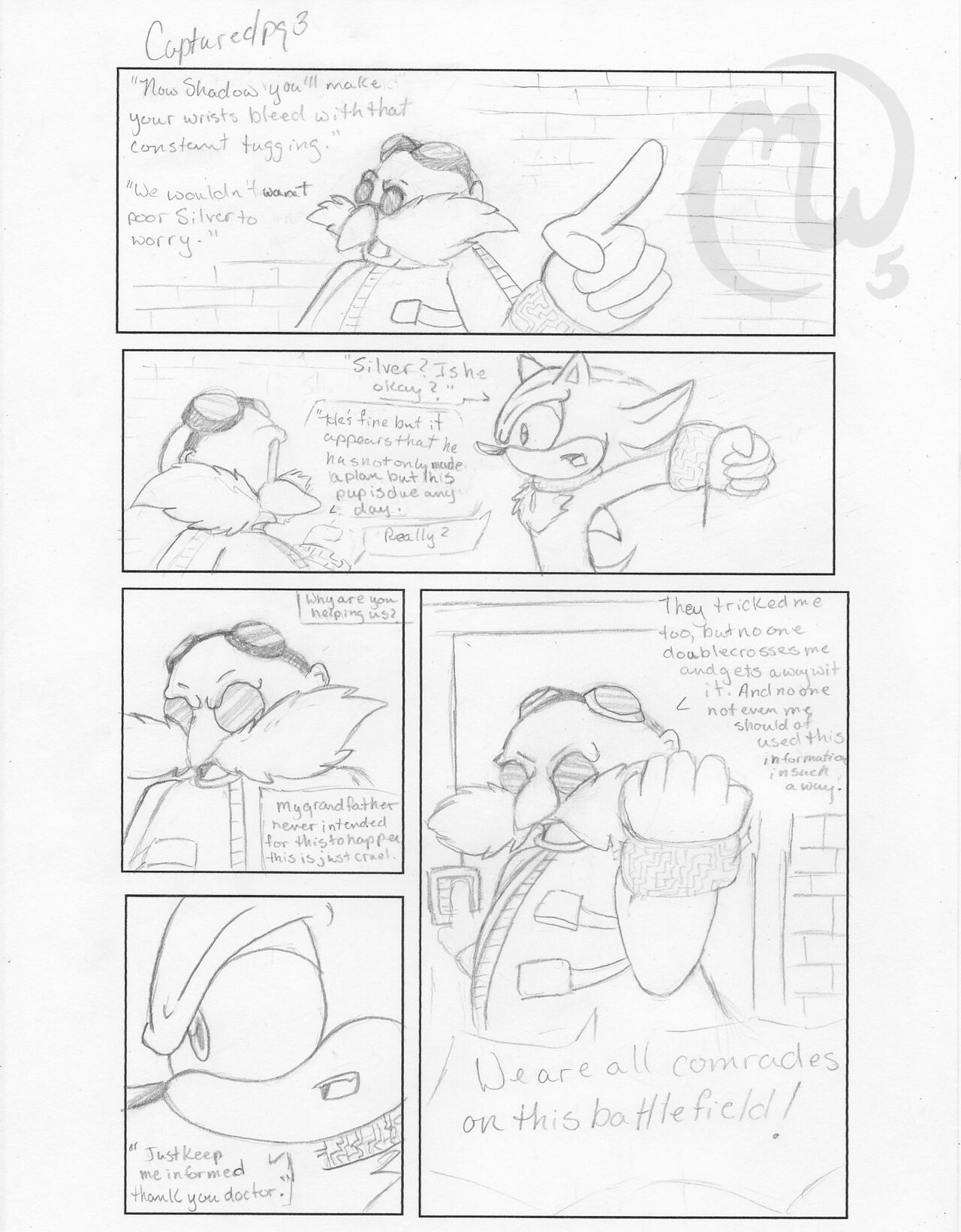 Captured page 3 full