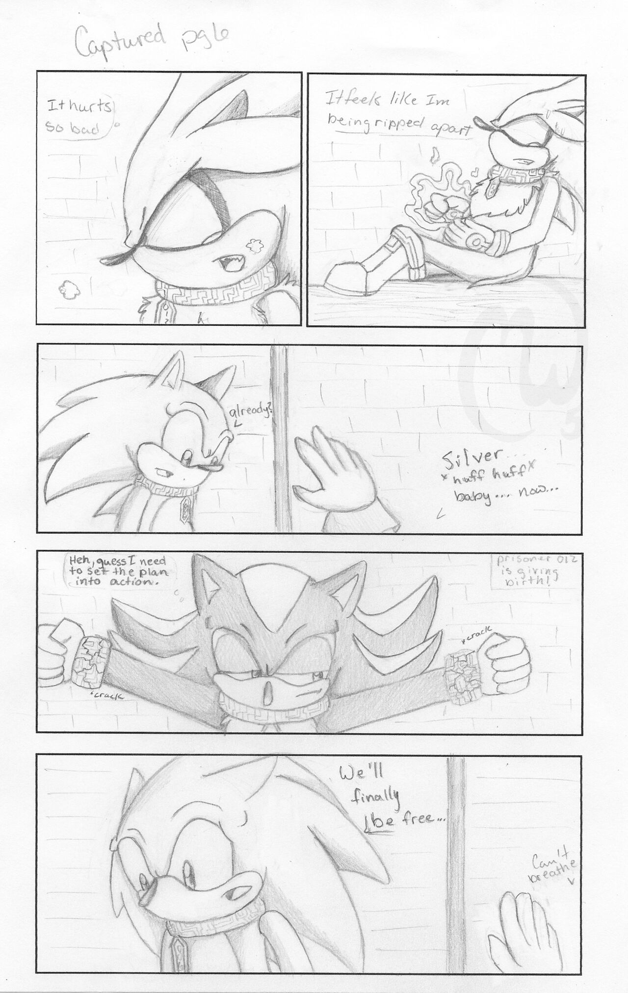 Captured page 5 full