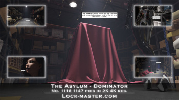 [Lock-Master] The Asylum 8 - Dominantrix cover