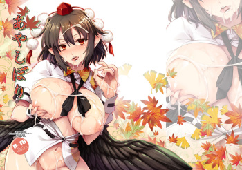[Shimoyakedou (Ouma Tokiichi)] Aya shibori (Touhou Project) [English] [desudesu] [Digital] cover
