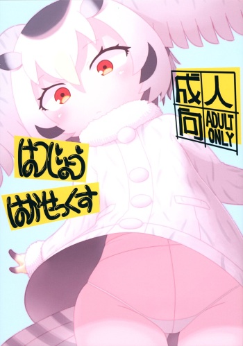 (C100) [Sumi kara Sumi made (Gabyonuno)] Hatsujou Hakasex (Kemono Friends) cover
