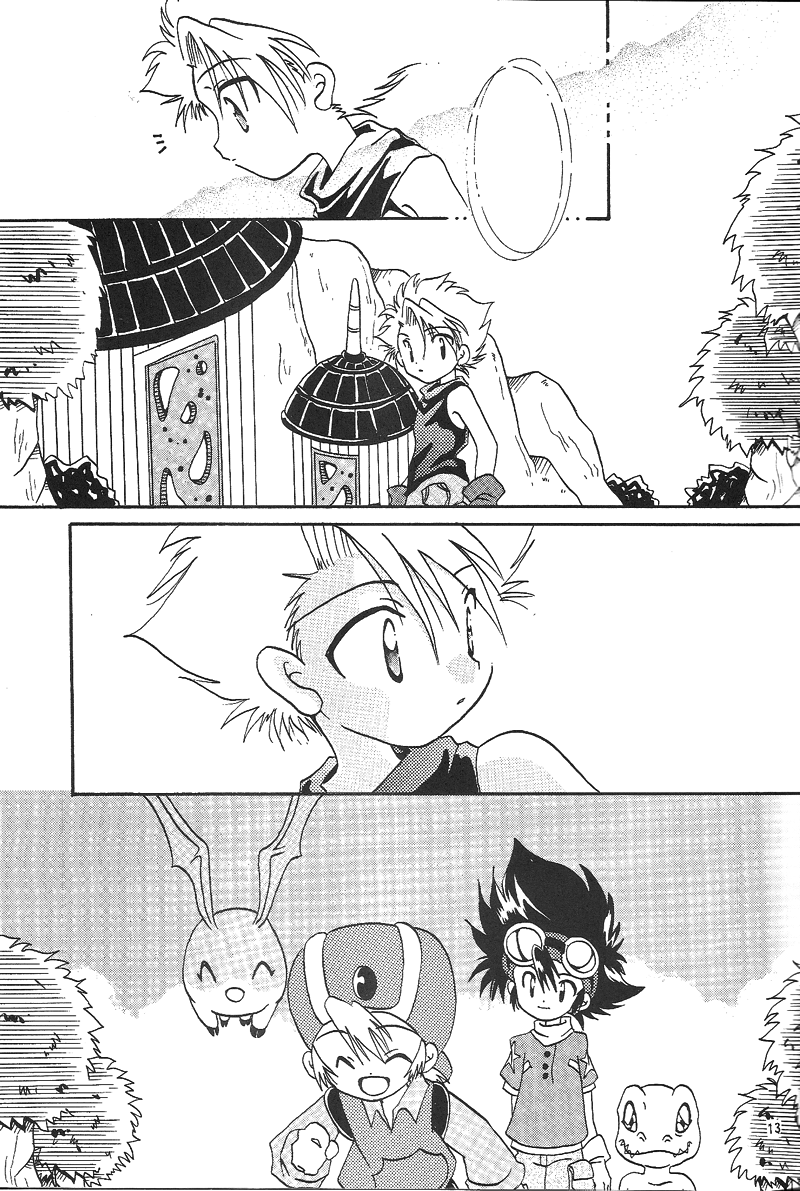 Duca 2.5 page 12 full