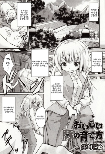 [Puritei] Oishii Buta no Sodatekata | 맛있는 돼지를 키우는 법 (Kemono DIRECT 4) [Korean] cover