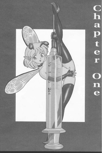 Bondage Fairies Extreme cover