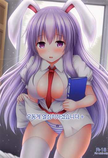 (C100) [I'm (Matsubayashi Nagana)] Udonge Ganbarimasu Plus | 우동게 열심히 하겠습니다+ (Touhou Project)[korean] cover