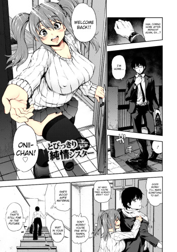 [Kanzume] Tobikkiri Junjou Sister [colored heroine] cover
