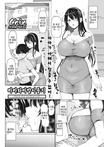 [Chin] Mama to Tanetsuke no Su - Mama and seeding nest | 마마와씨받이둥지 (COMIC HOTMiLK Koime Vol. 35) [Korean] [Digital] cover