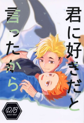 (RTS!!34) [Manmaru Kushami (nokoshi)] Kimi ni Suki da to Ittakara (Haikyuu!!) cover