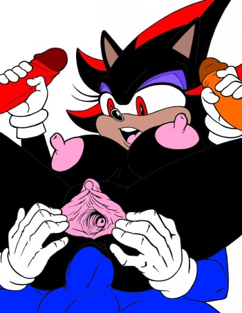 ARTIST robinebra cover