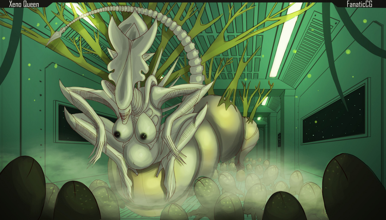 D'Torra page 11 full