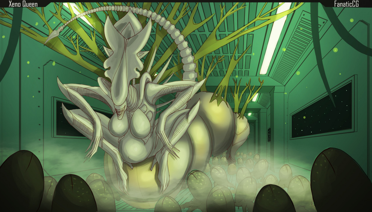 D'Torra page 12 full