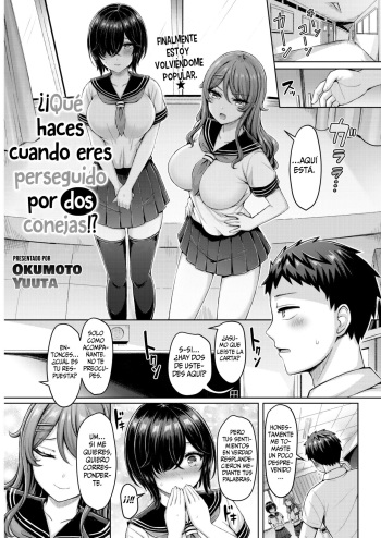 [Okumoto Yuuta] Nitoni Owarerya Dosureba!? || ¿¡Qué haces cuando eres perseguido por dos conejas!? (COMIC Kairakuten 2022-11) [Spanish] [Digital] cover