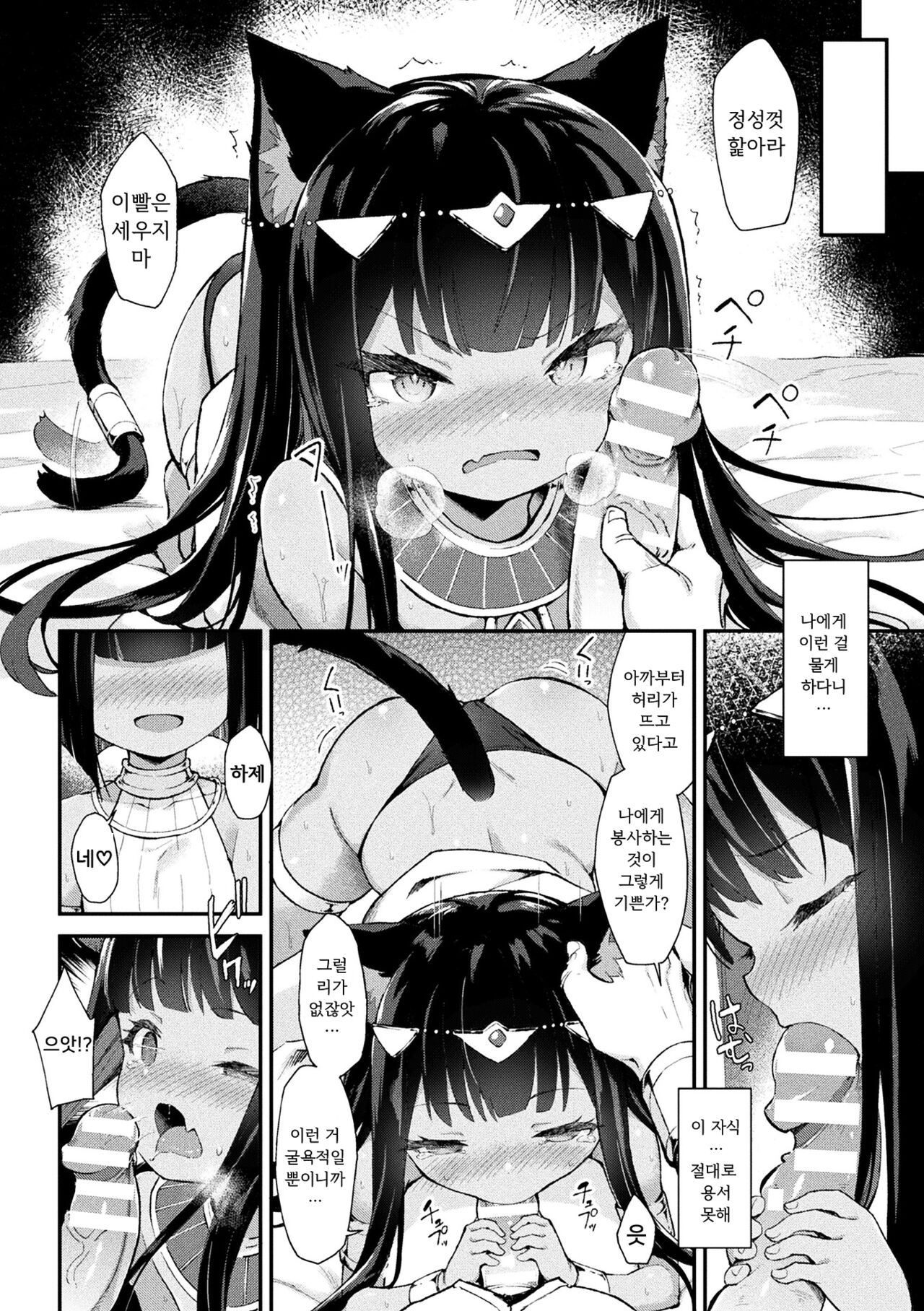 Nekohime Seisai Amira page 12 full