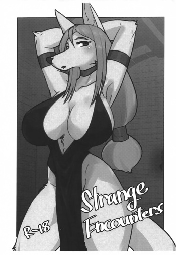 (Kemoket 12) [Hot Language (Kazuhiro)] Strange Encounters cover