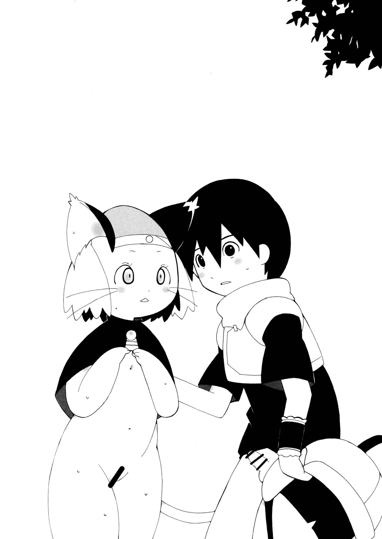 13 page 12 full