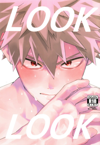 (Douyara Deban no Youda! 29) [YS (Satou)] LOOK LOOK (Boku no Hero Academia) cover