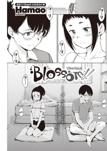[Hamao] Blossom!! (COMIC Kairakuten 2022-08) [Korean] [팀 털난보리] [Digital] cover