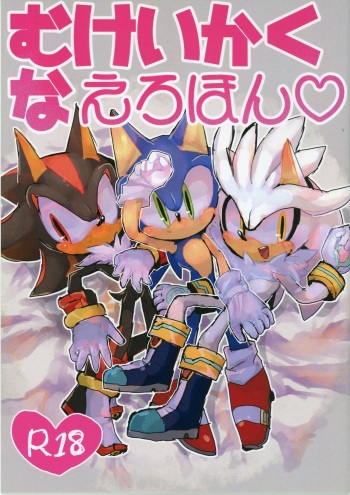 (HARU COMIC CITY 24) [hatake de suru sosou (HASHIMA)] mukeikaku na ero hon (Sonic the Hedgehog) cover