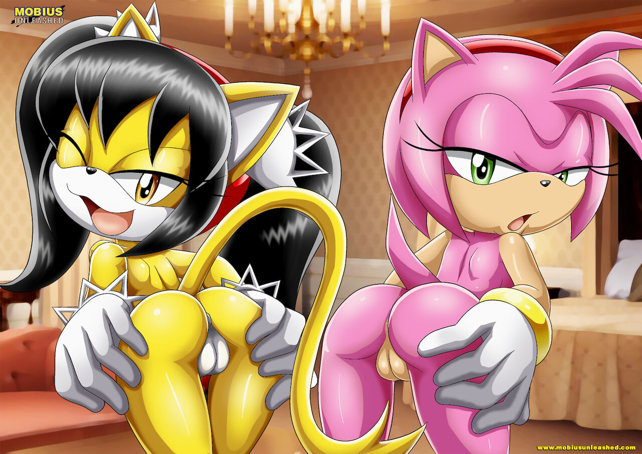 Mobius Unleashed: Honey the cat page 3 full