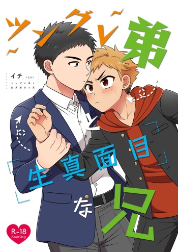 [Suita Kobara ni Choudo Ii (ichi)] Tsungure Otouto to Kimajime na Ani [Digital] cover