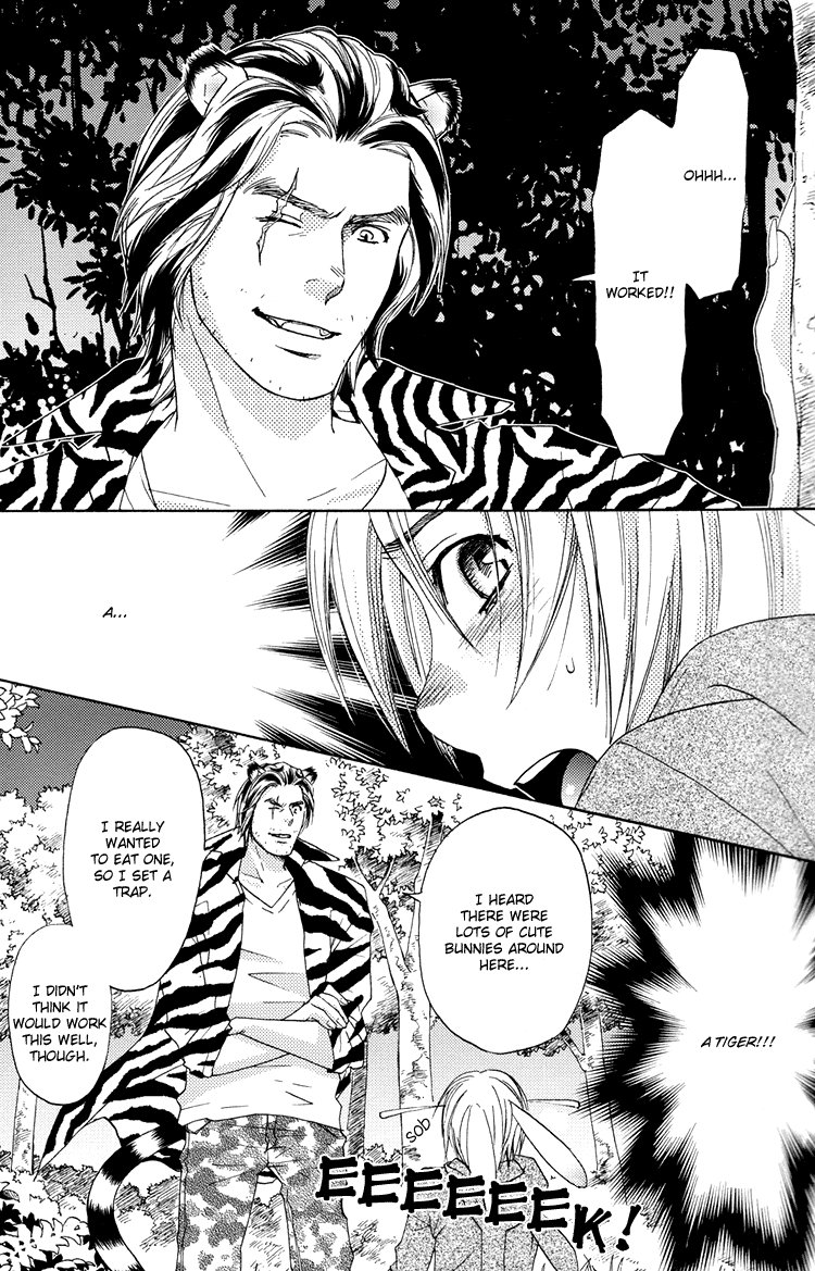 Mori No Animal Company Anikan | The Woodland Animal Company page 11 full