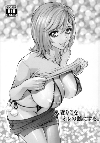 (C95) [Human High-Light Film (Shiosaba)] Hitozuma Riko o Ore no Mesu ni Suru. [English] {project valvrein} cover