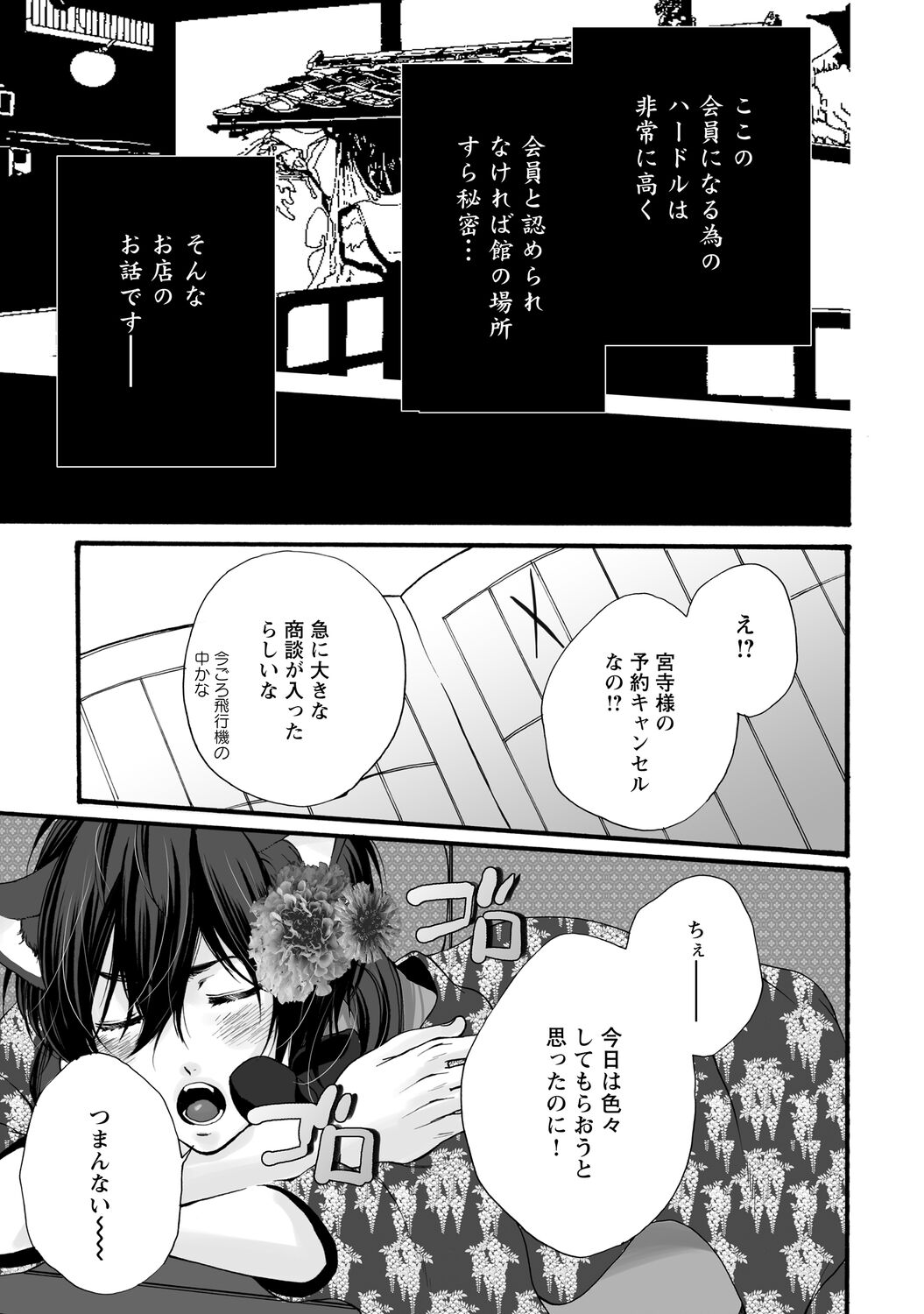 Aigan Neko no Yuuwaku page 11 full