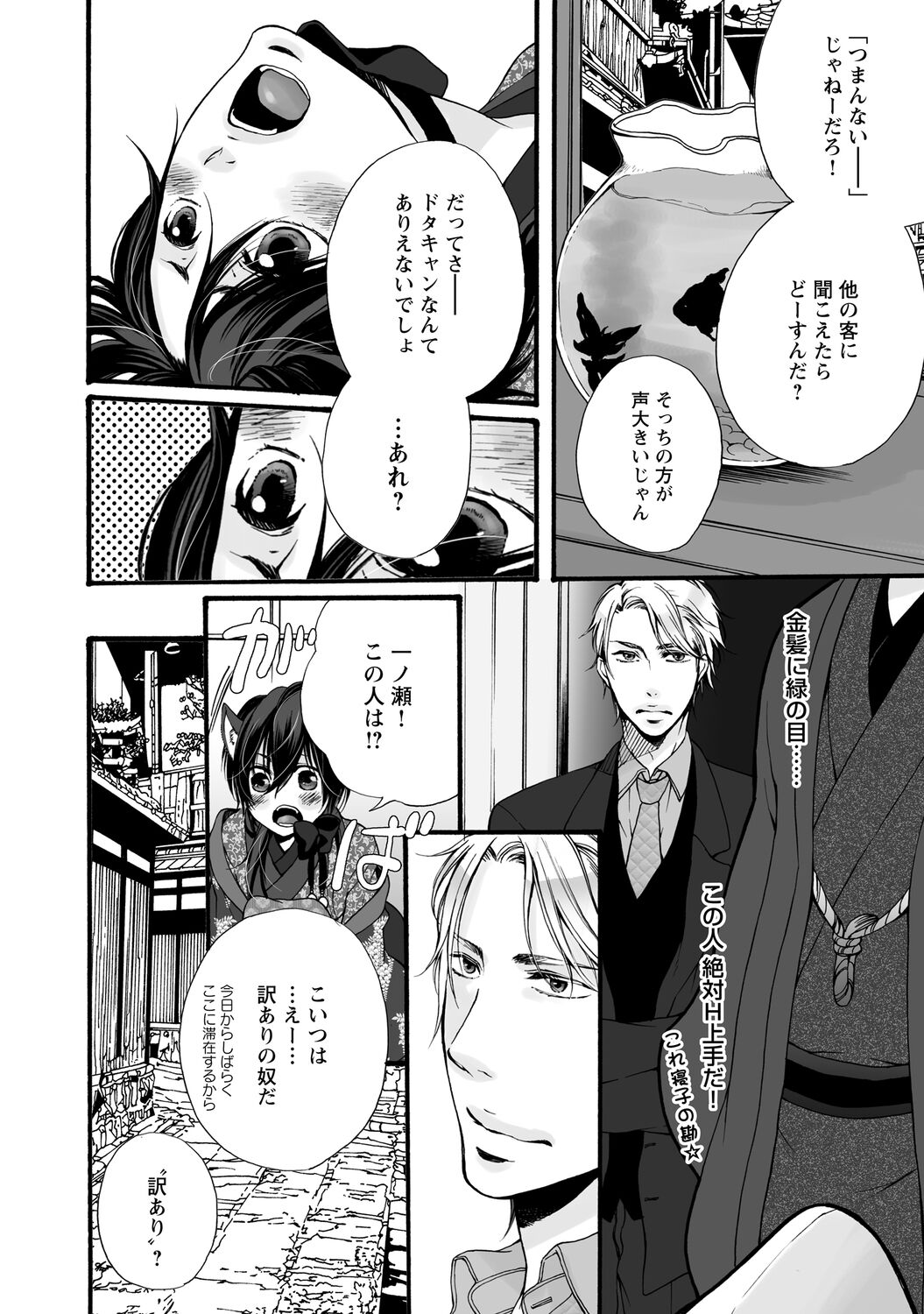 Aigan Neko no Yuuwaku page 12 full
