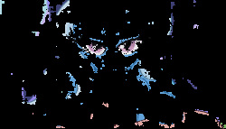 Trixie Will Suck Your Dick For Fifty Cents