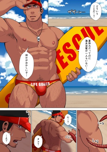 Lifeguard cover