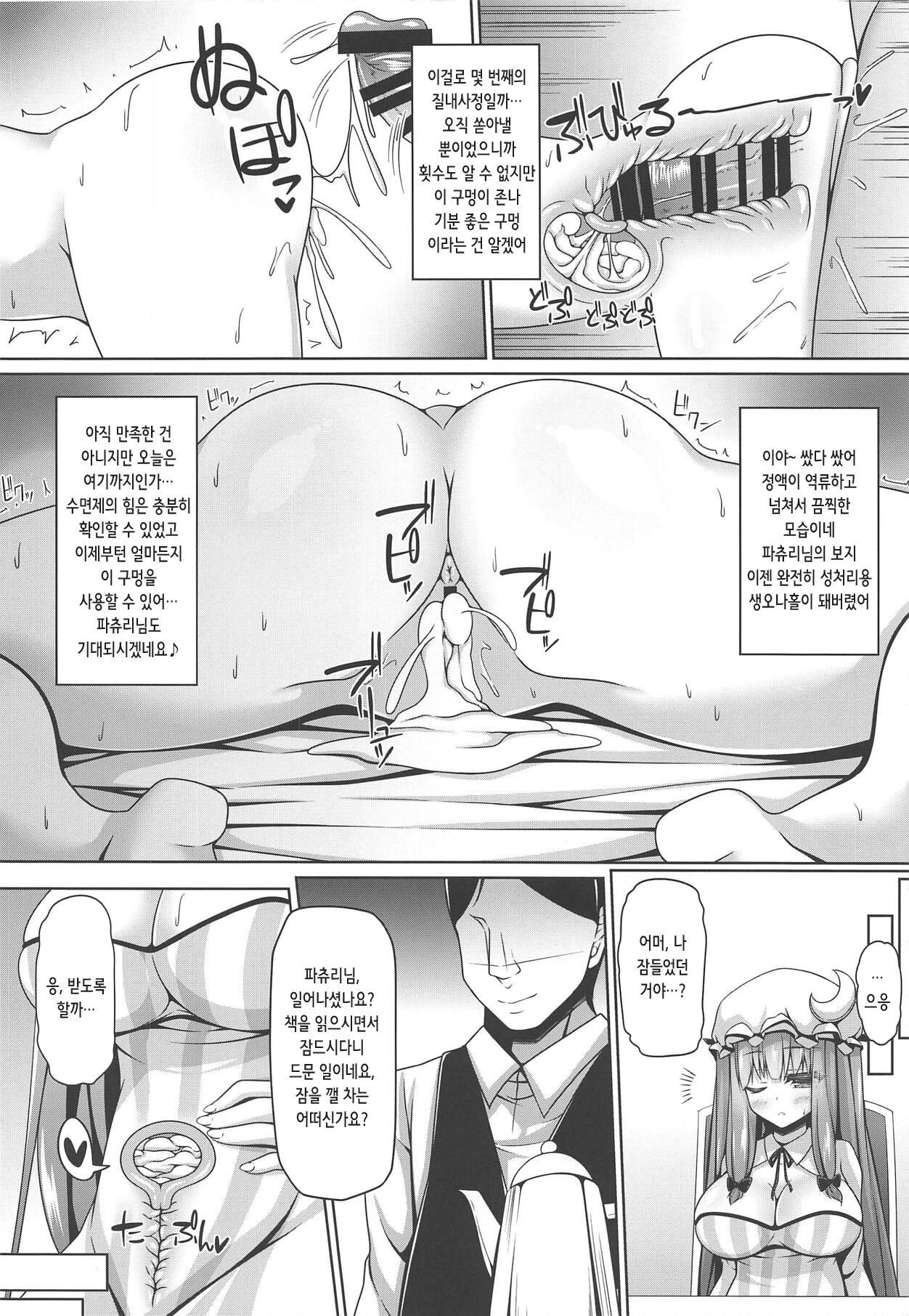 Neteiru Patchouli ni wa Nani o Shite mo Yoi | 자고 있는 파츄리에게는 어떤 짓을 해도 좋다 page 12 full