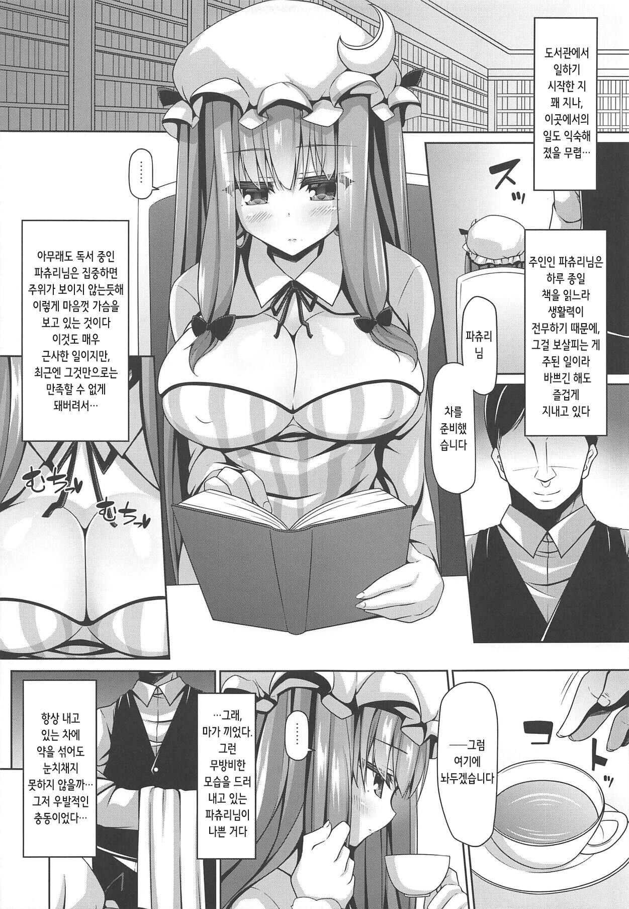 Neteiru Patchouli ni wa Nani o Shite mo Yoi | 자고 있는 파츄리에게는 어떤 짓을 해도 좋다 page 5 full