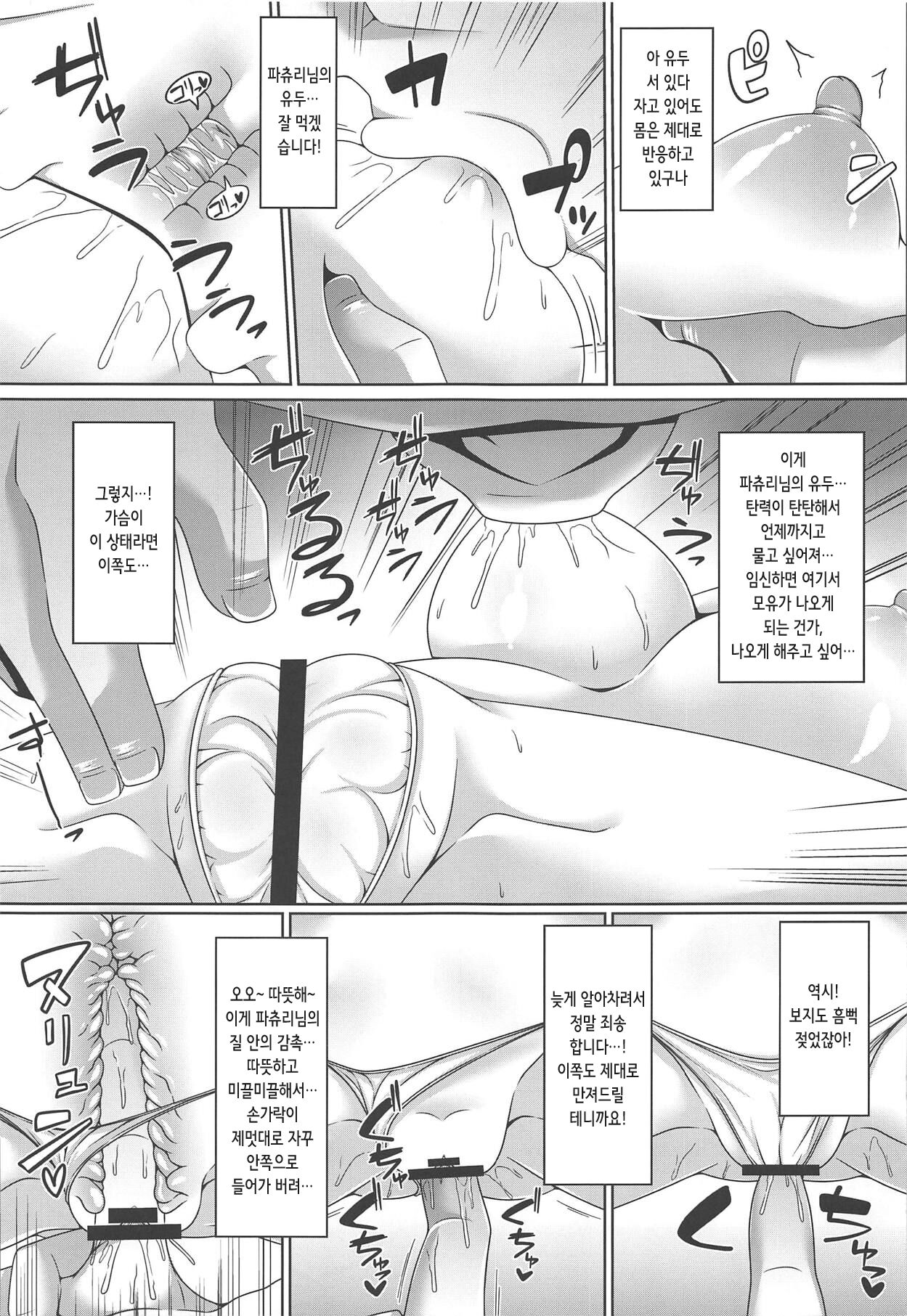 Neteiru Patchouli ni wa Nani o Shite mo Yoi | 자고 있는 파츄리에게는 어떤 짓을 해도 좋다 page 7 full