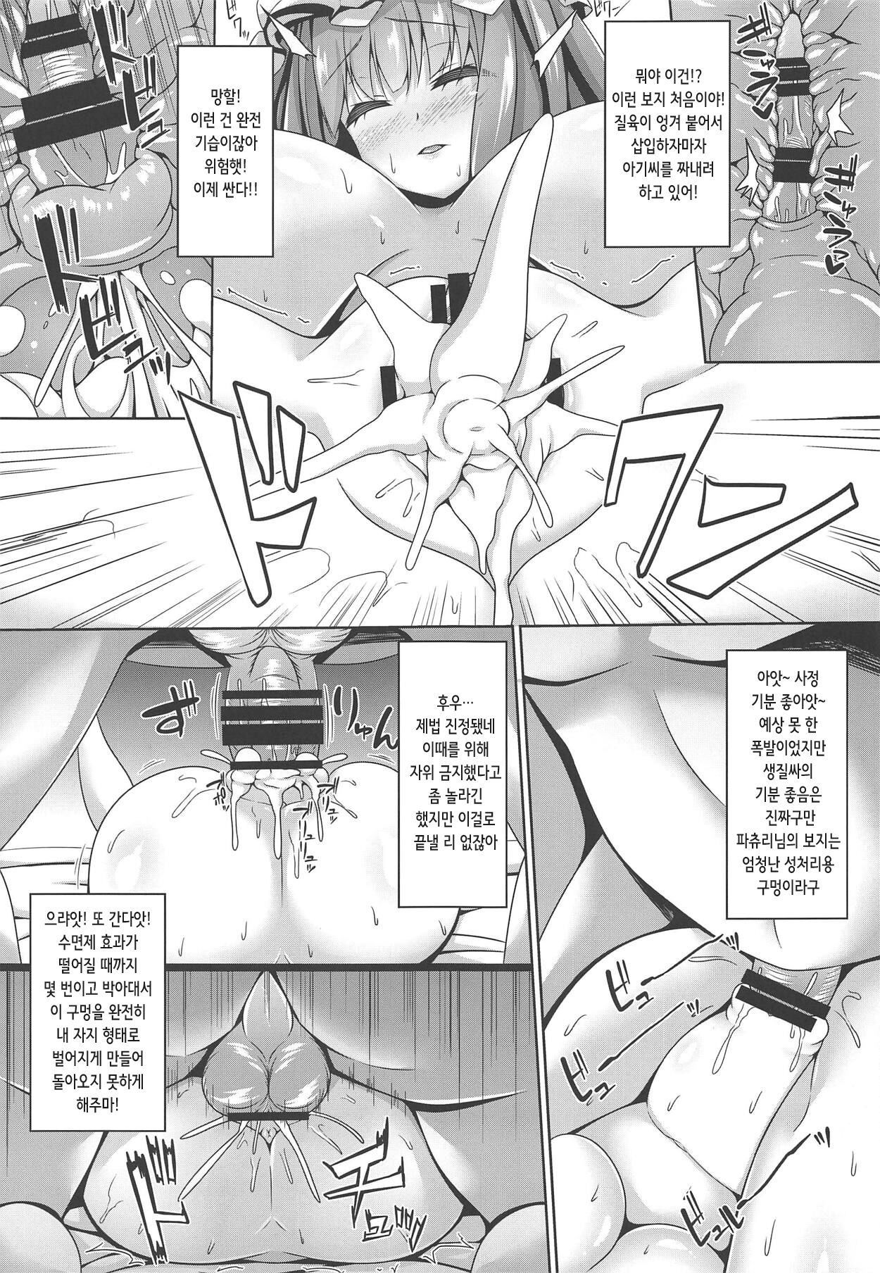 Neteiru Patchouli ni wa Nani o Shite mo Yoi | 자고 있는 파츄리에게는 어떤 짓을 해도 좋다 page 9 full